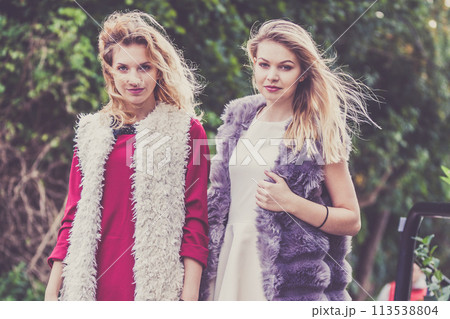 Two fashionable women outdoor 113538804