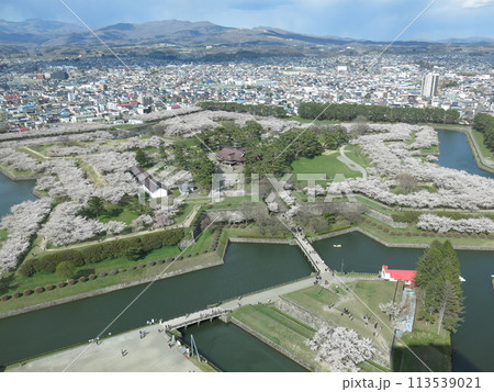 桜が美しい春の函館五稜郭（五稜郭タワー展望2階からの眺め） 113539021