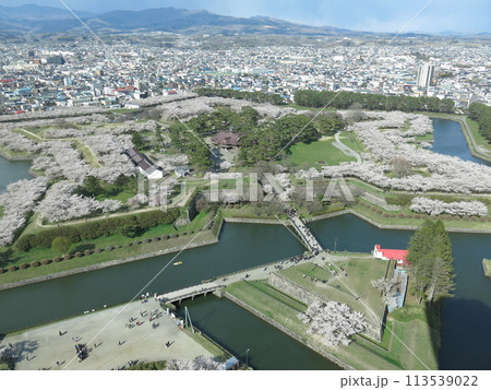 桜が美しい春の函館五稜郭(五稜郭タワー展望1階からの眺め) 桜が美しい春の函館五稜郭(五稜郭タワー展望1階からの眺め) 113539022