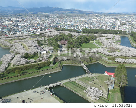 桜が美しい春の函館五稜郭（五稜郭タワー展望1階からの眺め） 113539023