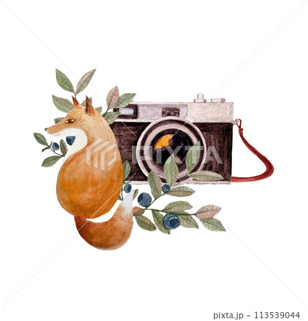 Fox with a camera, blueberry twig watercolor composition isolated on white. Hand drawn high quality art in simple flat style for woodland designs, posters, textile, interior decor, stickers and logo 113539044