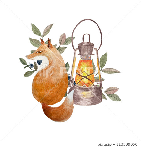 Lantern, fox with a blueberry twig watercolor illustration isolated on white. Hand drawn high quality art in flat style for woodland kids designs, textile, interior decor, stickers, cards, tote bags Lantern, fox with a blueberry twig watercolor illustration isolated on white. Hand drawn high quality art in flat style for woodland kids designs, textile, interior decor, stickers, cards, tote bags 113539050