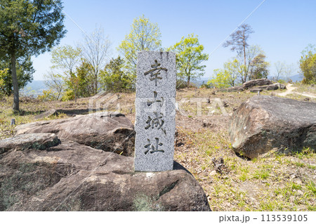 幸山城跡（岡山県総社市） 113539105