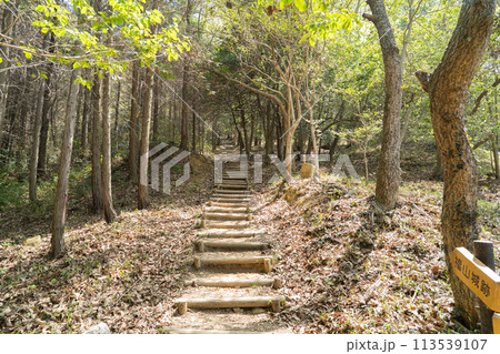 福山の階段(岡山県総社市) 福山の階段(岡山県総社市) 113539107