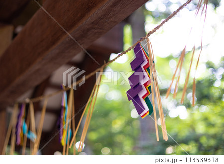 神社　夏詣（15） 113539318