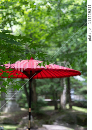 神社 夏詣(30) 神社 夏詣(30) 113539811