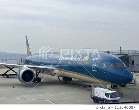 出発を待つ飛行機 113540087