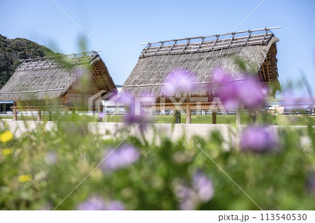 青谷かみじち史跡公園の周りのサイクリングイメージ 113540530