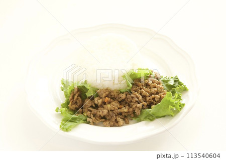 ガパオライス ガパオライス 113540604