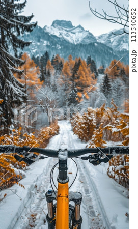 Bike Parked on Snowy Road 113540652