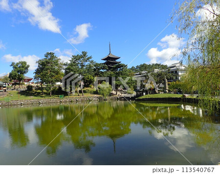 奈良県奈良市の奈良公園にある興福寺が放生会の放生池として造った人工池である猿沢池(さるさわいけ) 奈良県奈良市の奈良公園にある興福寺が放生会の放生池として造った人工池である猿沢池(さるさわいけ) 113540767