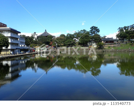 奈良県奈良市の奈良公園にある興福寺が放生会の放生池として造った人工池である猿沢池(さるさわいけ) 奈良県奈良市の奈良公園にある興福寺が放生会の放生池として造った人工池である猿沢池(さるさわいけ) 113540773