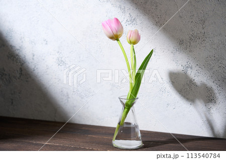 花瓶に生けたチューリップ 113540784
