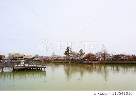 京都府 長岡天満宮 八条ヶ池 113541010