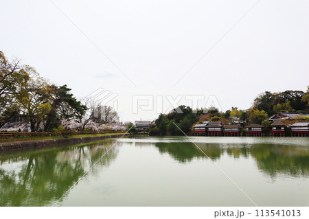 京都府 長岡天満宮 八条ヶ池 113541013