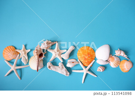 ブルーの背景にカラフルな貝殻とヒトデ、サマーイメージ背景 113541098