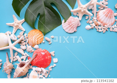 ブルーの背景にカラフルな貝殻とヒトデ、サマーイメージ背景 113541102