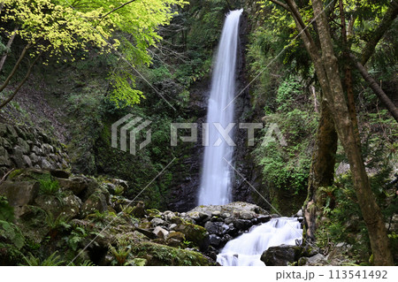 養老の滝 113541492