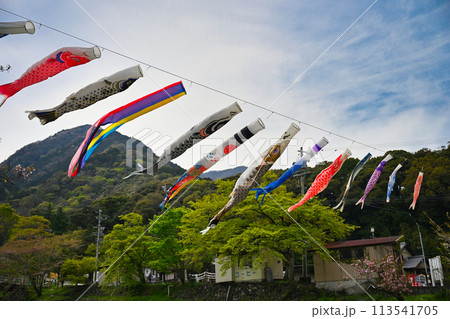 養老公園 113541705