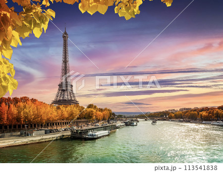 Autumn cityscape of Paris 113541838