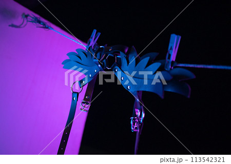bdsm leather shoulder straps in the shape of wings hanging on a clothesline in neon light on a black background, conceptual photos bdsm leather shoulder straps in the shape of wings hanging on a clothesline in neon light on a black background, conceptual photos 113542321