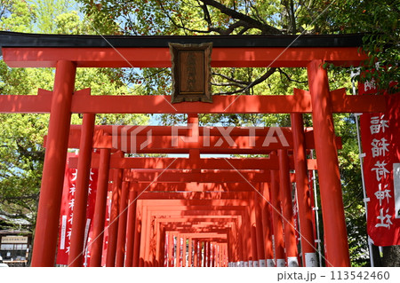 大福稲荷神社 113542460