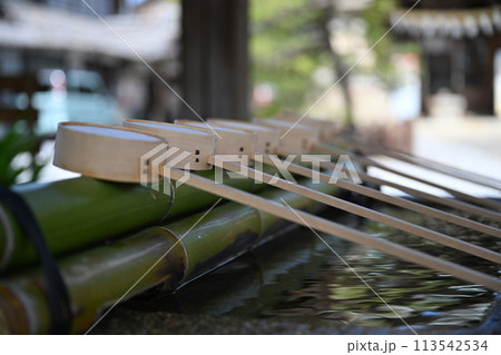 大垣八幡神社 113542534