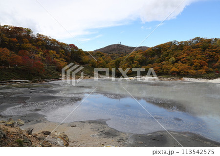 綺麗に色づく秋の大湯沼 登別地獄谷 綺麗に色づく秋の大湯沼 登別地獄谷 113542575