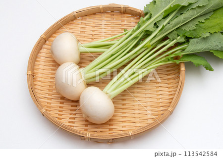 白カブ 白カブ 113542584