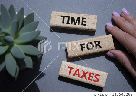 Time for Taxes symbol. Concept words Time for Taxes on wooden blocks. Beautiful grey background with succulent plant. Businessman hand. Business and Time for Taxes concept. Copy space. 113543268
