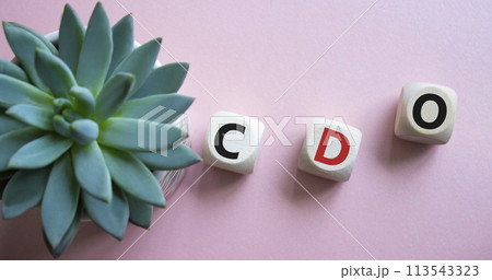 CDO - Collateralized Debt Obligation symbol. Wooden cubes with word CDO. Beautiful pink background with succulent plant. Business and Collateralized Debt Obligation concept. Copy space. 113543323