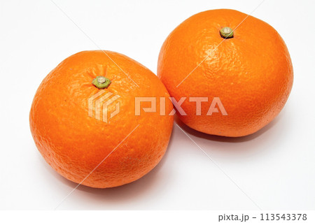 カワノナツダイダイ（甘夏） 113543378