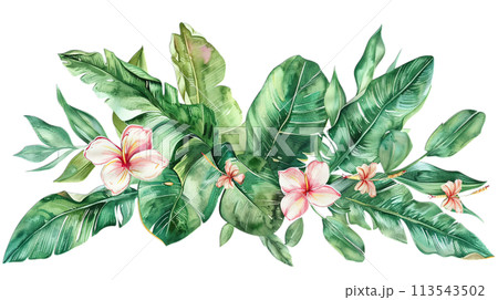 Lush tropical leaves and vibrant hibiscus watercolor illustration, perfect for nature-inspired decor, isolated on transparent background 113543502