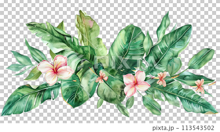 Lush tropical leaves and vibrant hibiscus watercolor illustration, perfect for nature-inspired decor, isolated on transparent background 113543502