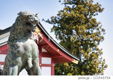 神社の狛犬と青い空 113543759