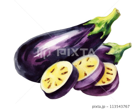 茄子 113543767