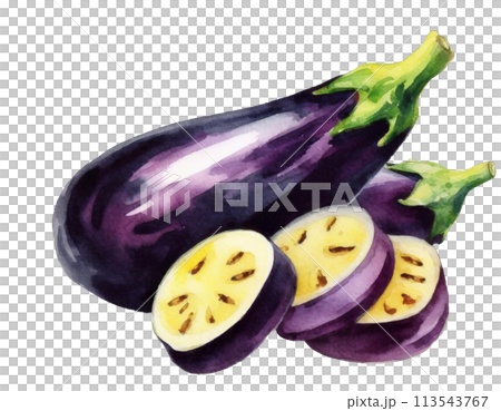 茄子 113543767