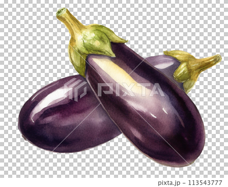 茄子 茄子 113543777