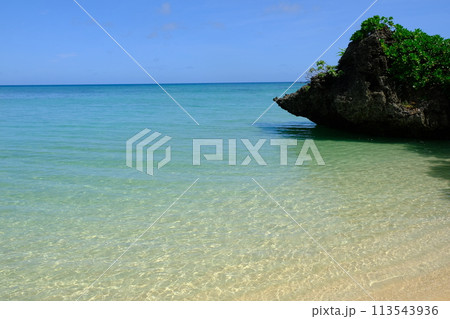 石垣島の北部のビーチ 113543936