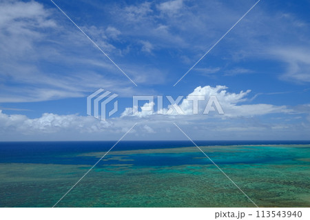 石垣島の平久保岬のサンゴの海 113543940