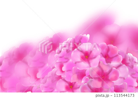 夾竹桃（キョウチクトウ）の花のカード1 113544173