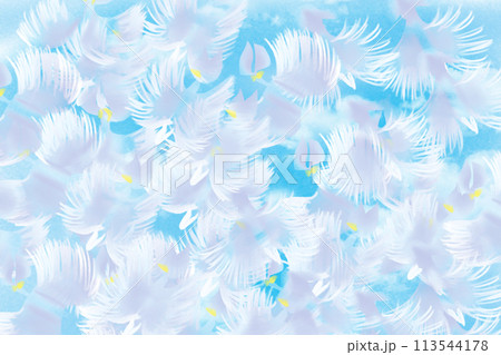 鷺草の花のカード1 鷺草の花のカード1 113544178