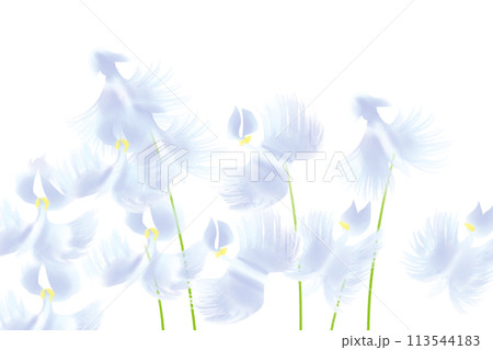 鷺草の花のカード4 113544183