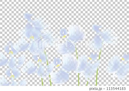 鷺花卡4 鷺花卡4 113544183