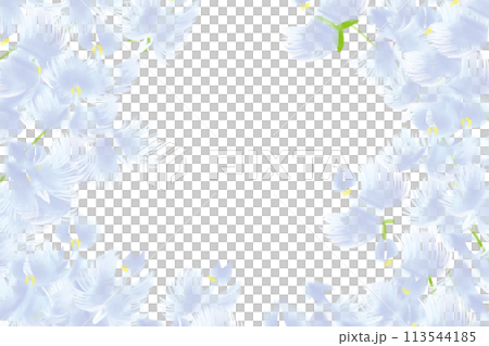 鷺花卡 6 113544185