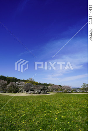 春の青空に映える石舞台の石郭と桜 春の青空に映える石舞台の石郭と桜 113544455