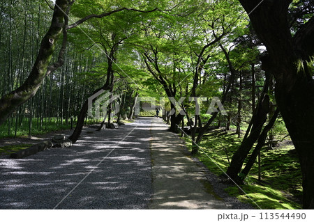 お茶屋屋敷跡 113544490