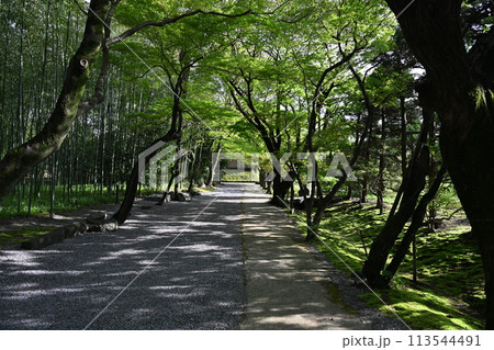 お茶屋屋敷跡 お茶屋屋敷跡 113544491
