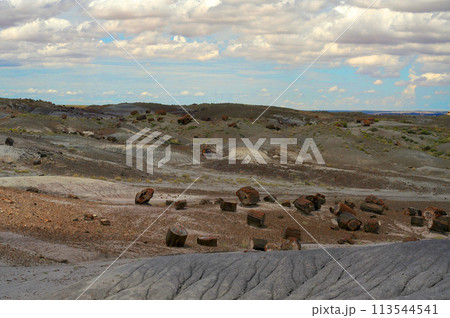 Alien Landscape Petrified Forest National Park Arizona 113544541