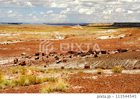 Alien Landscape Petrified Forest National Park Arizona Alien Landscape Petrified Forest National Park Arizona 113544545